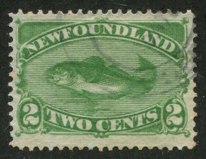 Newfoundland #46 Used