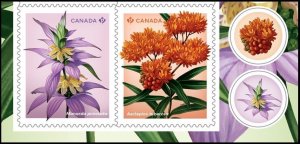 BUTTERFLY MILKWEED, SPOTTED BEEBALM wildflowers = BK pair (lbp) MNH Canada 2024