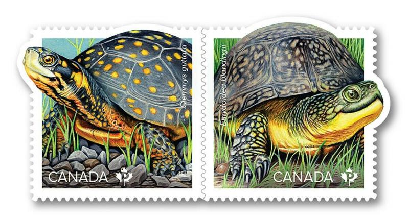 New! _ TURTLE = ENDANGERED species = Booklet of 10 stamps MNH-VF Canada 2019