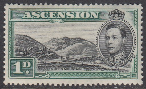 Ascension 41 MLH CV $30.00