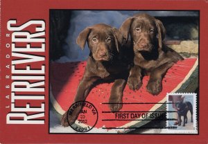 Post Card Maxi Card FDC for the 2012 Dogs at Work Seeing Eye Dog Stamp