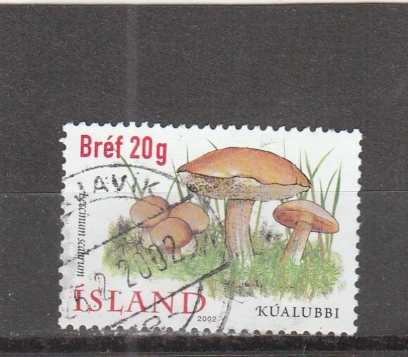 Iceland  Scott#  957  Used  (2002 Mushrooms)