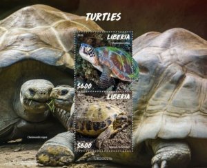Liberia - 2020 Turtles & Tortoises - 2 Stamp Souvenir Sheet - LIB200221b