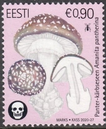 ESTONIA 2020 MUSHROOMS FUNGI CHAMPIGNONS PILZE HONGOS