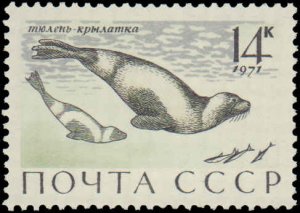 Russia #3882-3886, Complete Set(5), 1971, Animals, Marine Life, Never Hinged