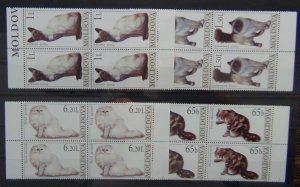 Moldova 2007 Cats set in blocks x 4 MNH