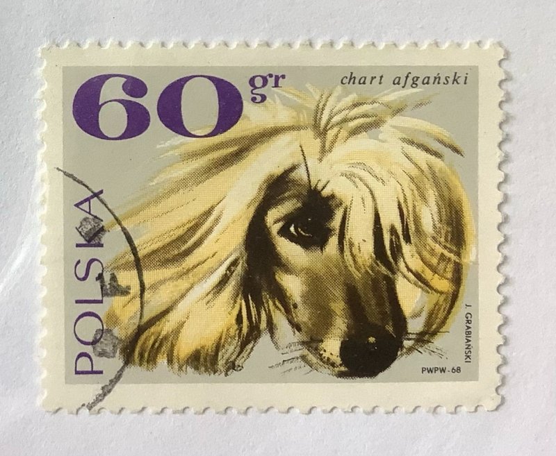 Poland 1969 Scott 1638 used - 60g, Dogs,  Afghan Greyhound