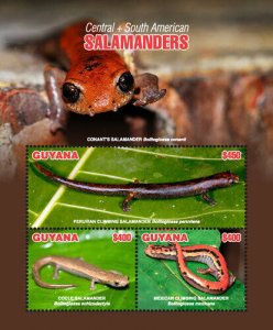 Guyana 2018 - Salamanders - Sheet of 3v - Scott 4573 - MNH