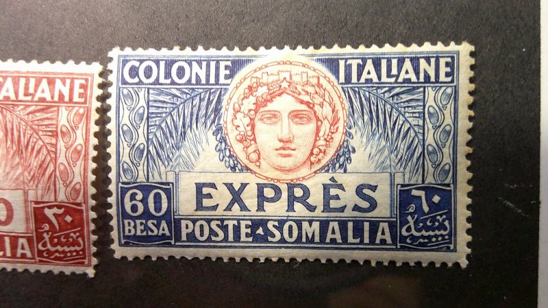 Somalia (Italy) 1924 Special Delivery Scott# E3-E4 MNH F-VF complete set