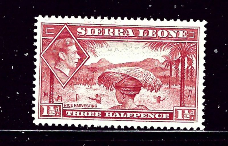 Sierra Leone 175 MLH 1938 Rice Harvesting