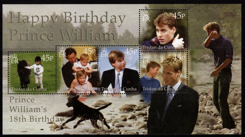 Tristan da Cunha 2000 18th Birthday of Prince William, Miniature Sheet [Mint]