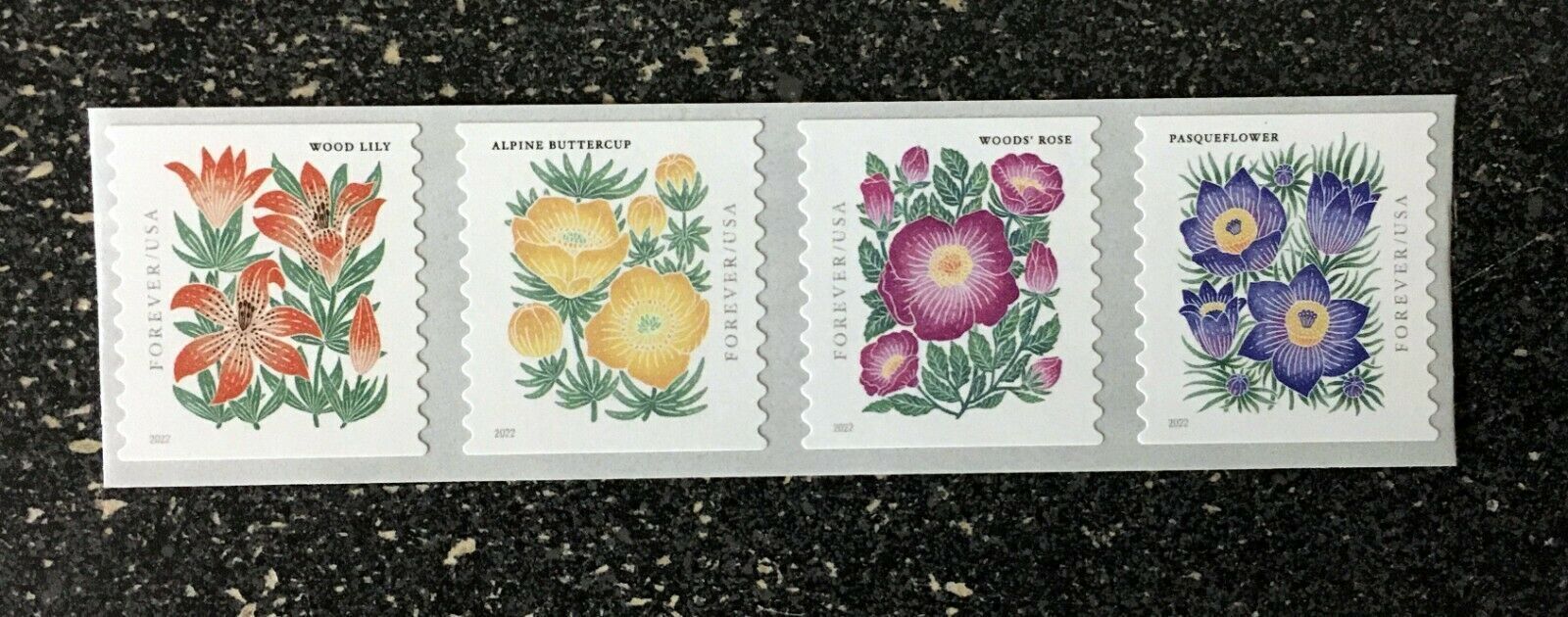 5672-75 - 2022 First-Class Forever Stamps - Mountain Flora (coil