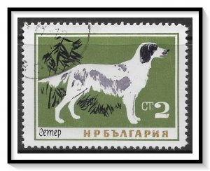 Bulgaria #1349 Poodle Dog CTO NH