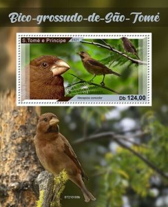 Sao Tome & Principe Birds on Stamps 2021 MNH Sao Tome Grosbeak 1v S/S