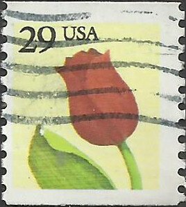 # 2527 USED RED ROSE    