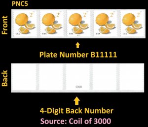 US 5256 Meyer Lemons 2c #on# PNC5 B11111 4d back # MNH 2018