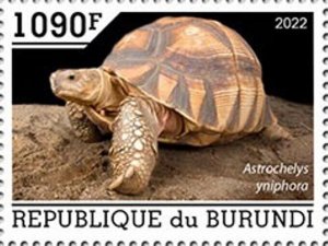 Burundi - 2022 Angonoka Tortoise - Stamp - BUR2201052a