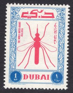 DUBAI SCOTT 24