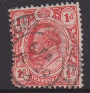 Transvaal Sc#282 Used - badly creased