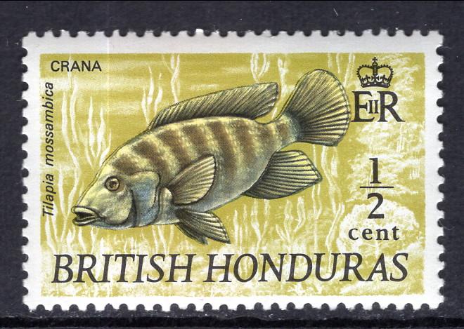 British Honduras 214 Fish MNH VF