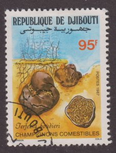 Djibouti 627 Terfezia Boudieri 1987