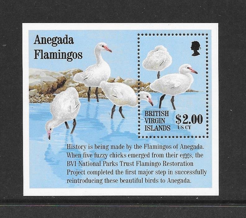 BIRDS - BRITISH  VIRGIN ISLANDS #815  FLAMINGOS  MNH