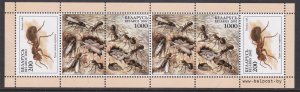 Belarus, Fauna, Insects, booklet pane MNH / 2002