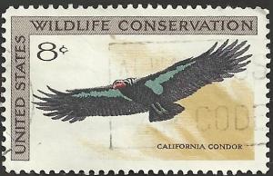 # 1430 USED CALIFORNIA CONDOR