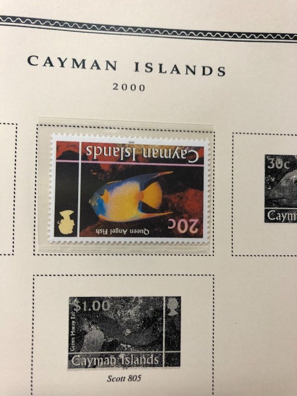 CAYMAN ISLANDS – 423901