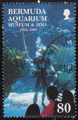 Bermuda 2001 used Sc #816 80c Diver in Aquarium tank Aquarium, Museum, Zoo 75...