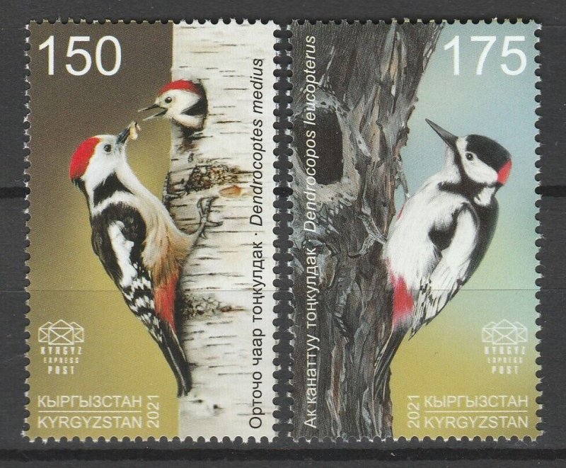 Kyrgyzstan 2021 Birds, Woodpecker joint issue Croatia 2 MNH stamps 