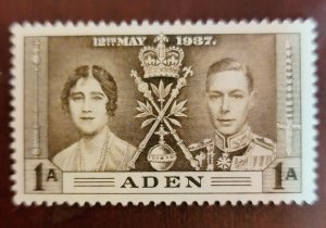 Aden 13 mint