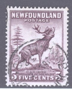 Newfoundland, Scott #190, Used