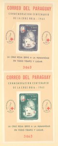 Paraguay #805a Mint (NH) Souvenir Sheet