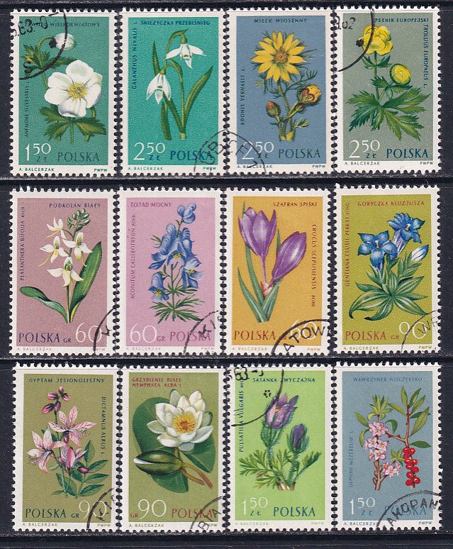 Poland  1962 Sc 1066-77 Snowdrop Globeflower Cowbell Gentian Orchid Stamp CTO NH