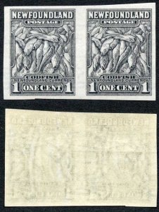 Newfoundland SG222a 1c Slate Imperf Pair U/M (MNH) Cat 48++ Pounds