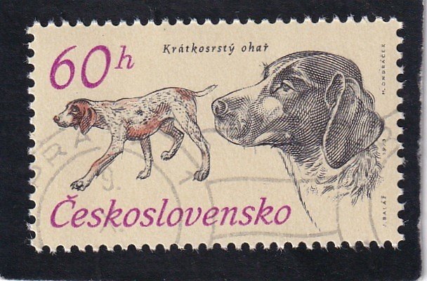 Czechoslovakia,  #  1899    used