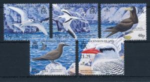 [31040] Ascension 2005 Birds Vögel Oiseaux Ucelli   MNH