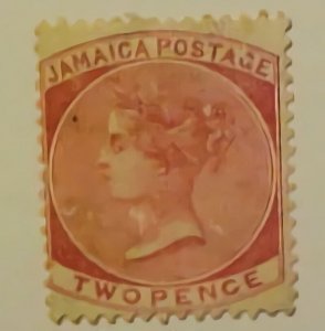 JAMAICA  # 8 CAT  $ 110.00 LH
