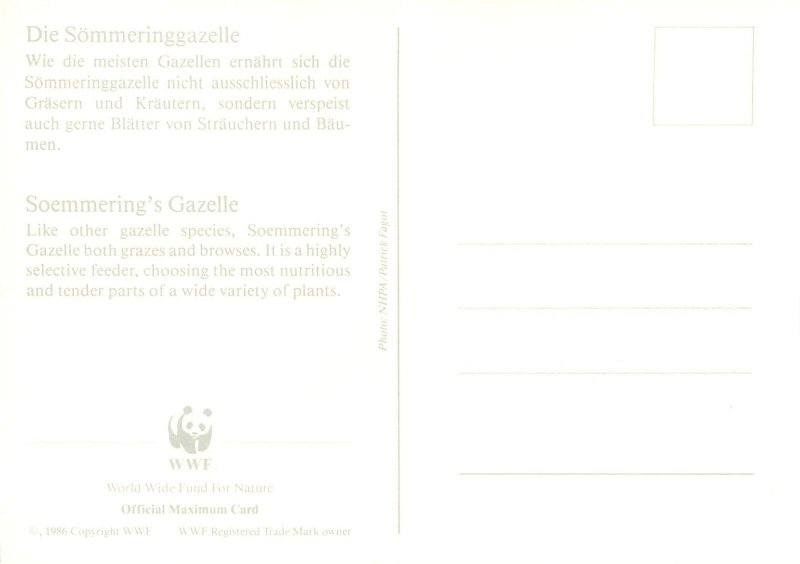 E0008 WWF Maximum Card 1992 Fauna Animals Somalia Soemmering`s Gazelle