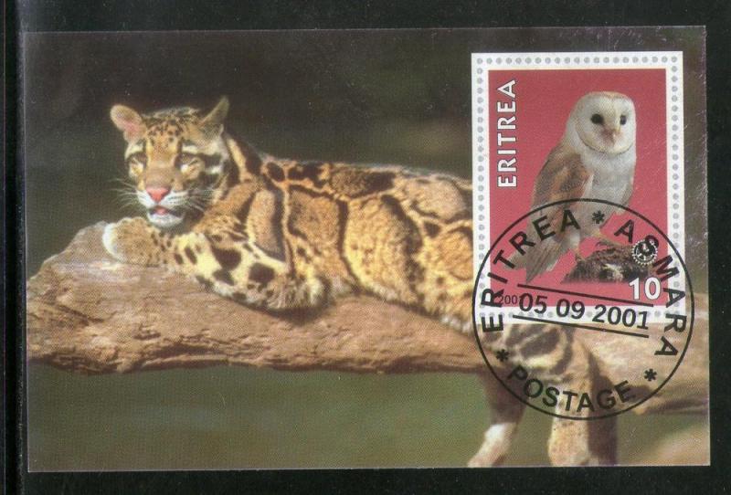 Eritrea 2001 Tiger Owl Bird Wild Life Animals Fauna M/s Canc