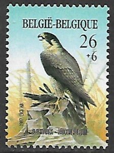 Belgium # B1062 - Peregrine Falcon - MNH.....{GBl46}