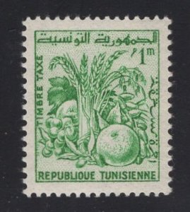 Tunisia  #J41  MNH  1960  postage due 1m