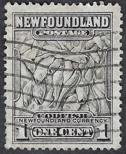 Newfoundland #184 1¢ Codfish (1932). Perf. 13.5. Fine centering.