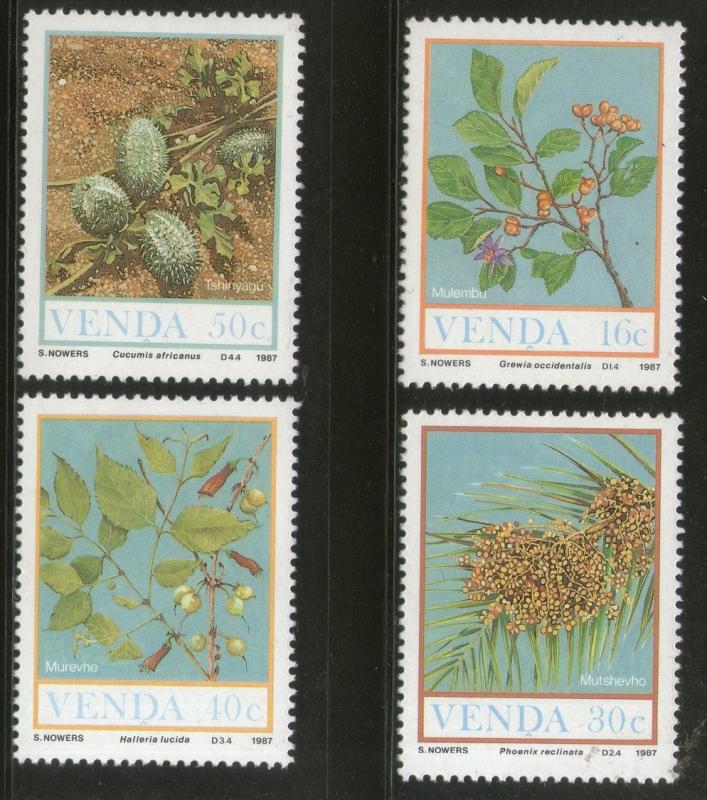 Venda 1987 Food of the Veld Plant Tree Sc 173-8-76 MH # 4268