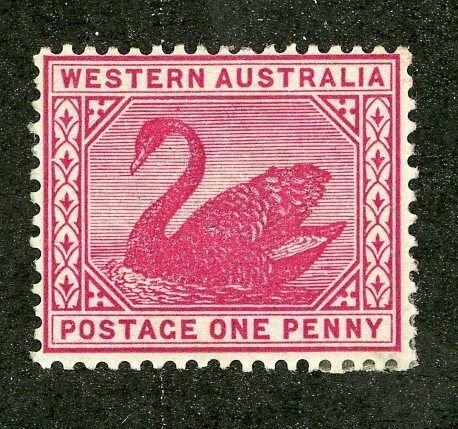 5149 BCX  1899 West Australia Sc.# 73 mlh* cv $7.75 ( Offers welcome )