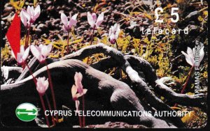 Telephone Card Cyprus Telecommunications Authority Kakamas Forrest