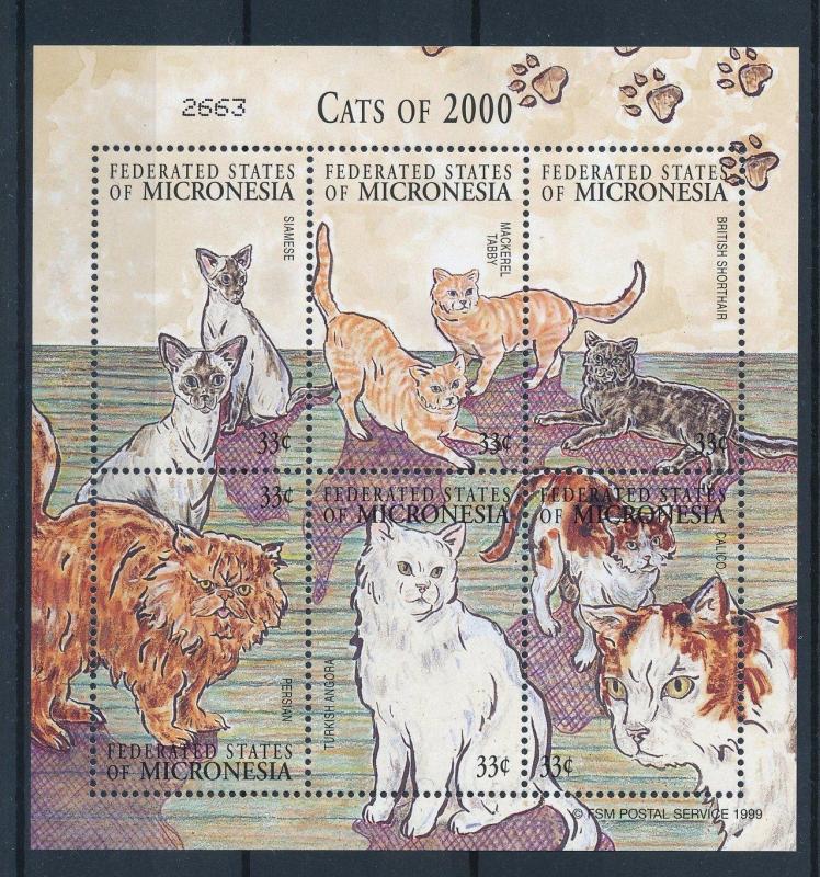 [34748] Micronesia 2000 Animals Cats MNH Sheet