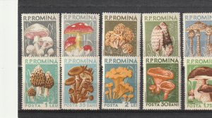 ROMANIA STAMPS 1958 MUSHROOMS MNH POST NATURE SET