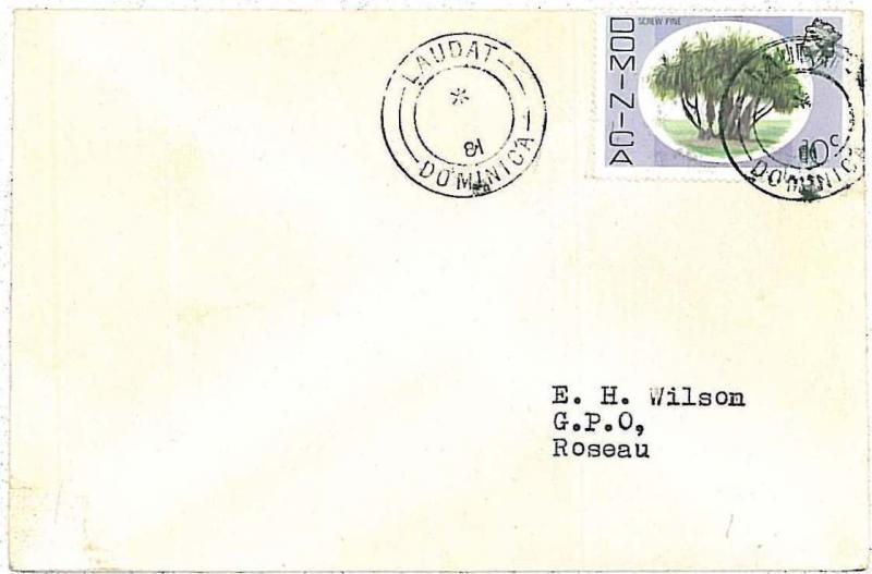 POSTAL HISTORY : DOMINICA - COVER - TREES \ NATURE: LAUDAT postmark 1981